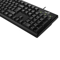 Genius KB-100 Programmable USB Keyboard - 12 Customizable F-Keys