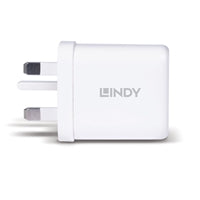 LINDY 65W GaN USB-C Charger - Compact Folding UK Plug PD 3.0