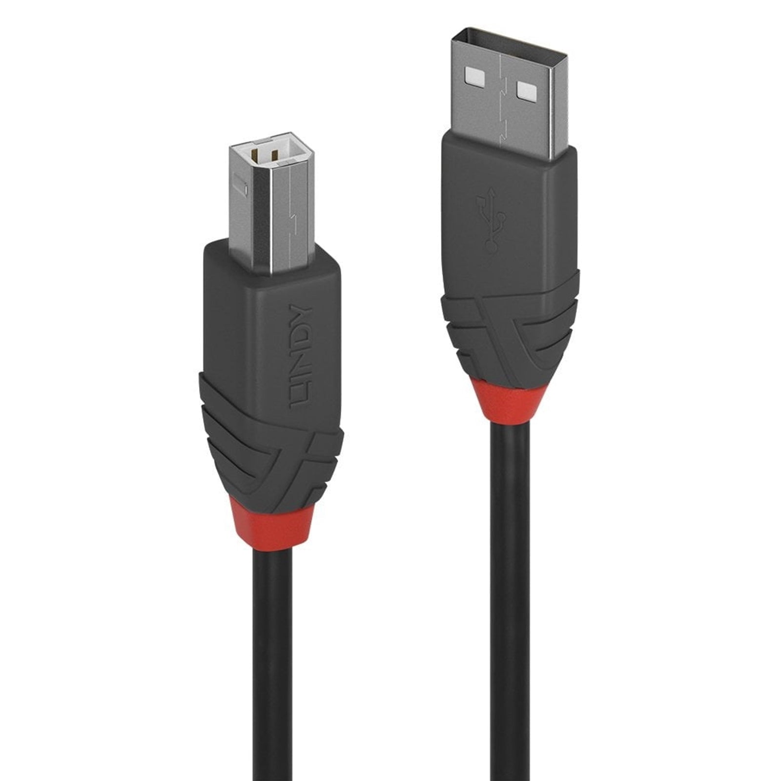 LINDY 5m USB-A to USB-B 2.0 cable in black with red accents, supports 480Mbps data transfer.