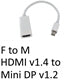 Mini DisplayPort to HDMI Adapter White 15cm - 1080p Converter