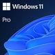 Microsoft Windows 11 Professional 64bit English OEI DVD Operating Software OEM
