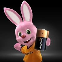 Duracell Plus Power D Alkaline Batteries - 15000mAh, Pack of 2