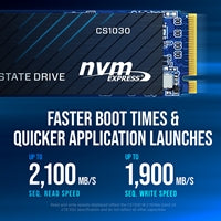 PNY CS1030 (M280CS1030-250-RB) 250GB SSD, PCIe Gen3 x4 Interface,Max Read 2500MB/s, MaxWrite 1100MB/s, 5 Year Limited Warranty