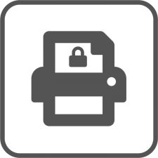 Brother Print Plus Licence