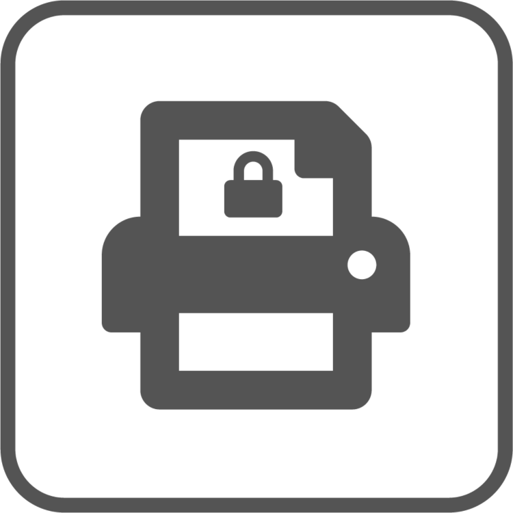 Brother Print Plus Licence